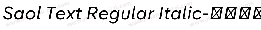 Saol Text Regular Italic字体转换